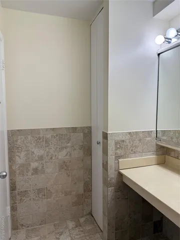 a bathroom with a sink and a shower