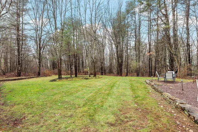 a view of empty space with trees