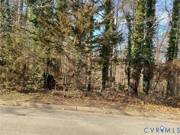 a view of a yard with trees