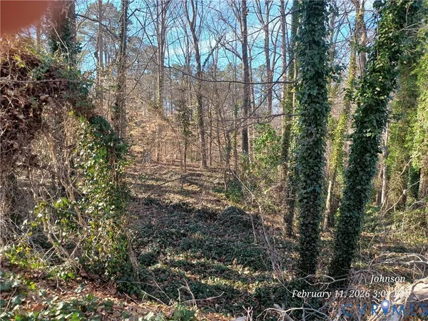 a view of backyard and trees