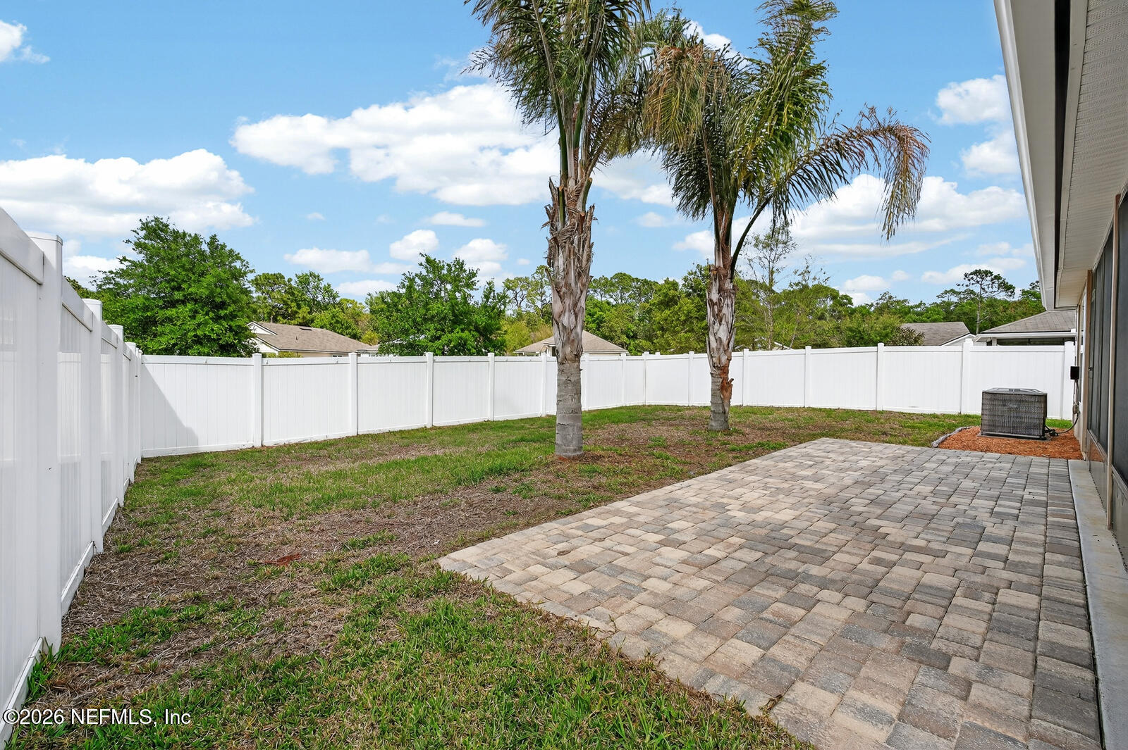 353 Green Turtle Lane St. Augustine, FL 32086 - Photo 38 of 48 a view of a yard with palm tree