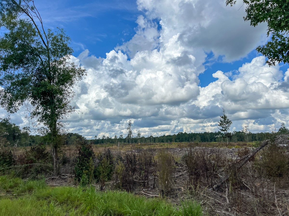 2 Fm 92 Woodville, TX 75979 - Photo 13 of 15 a view of lake with green space