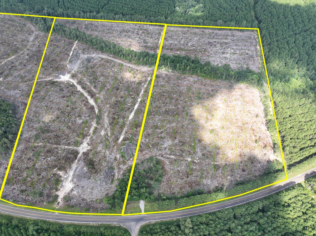 2 Fm 92 Woodville, TX 75979 - Photo 2 of 15