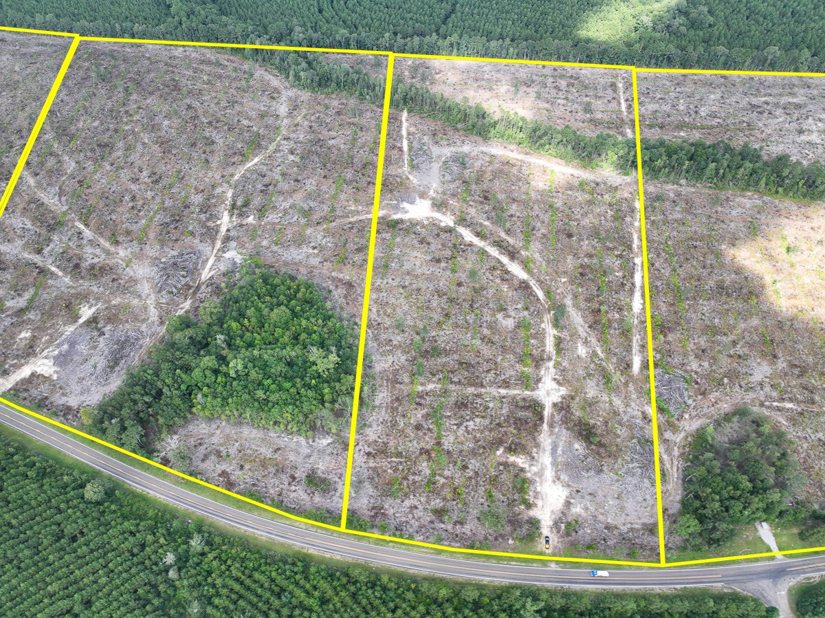 2 Fm 92 Woodville, TX 75979 - Photo 3 of 15 a view of a garden from a balcony