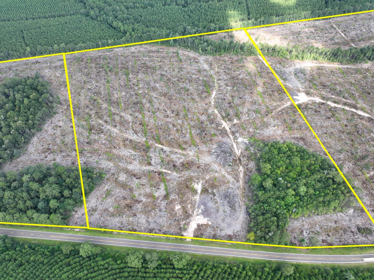 2 Fm 92 Woodville, TX 75979 - Photo 4 of 15 a view of a yard with plants