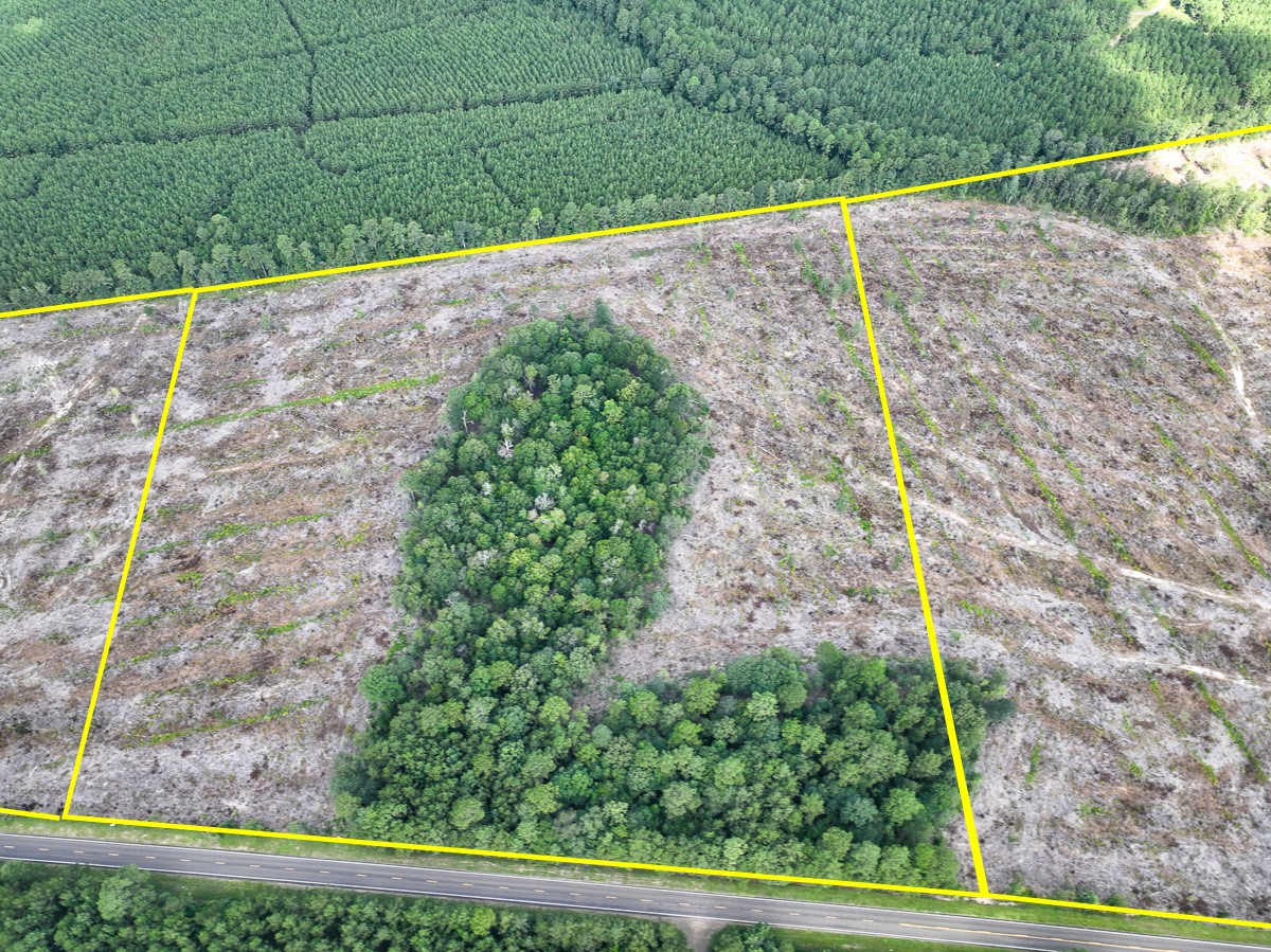 2 Fm 92 Woodville, TX 75979 - Photo 5 of 15 a view of a back yard