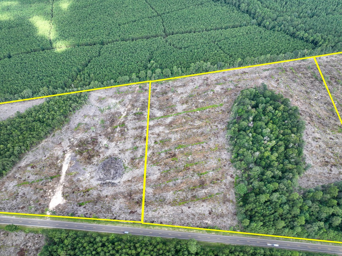 2 Fm 92 Woodville, TX 75979 - Photo 6 of 15 a view of a yard with an outdoor space