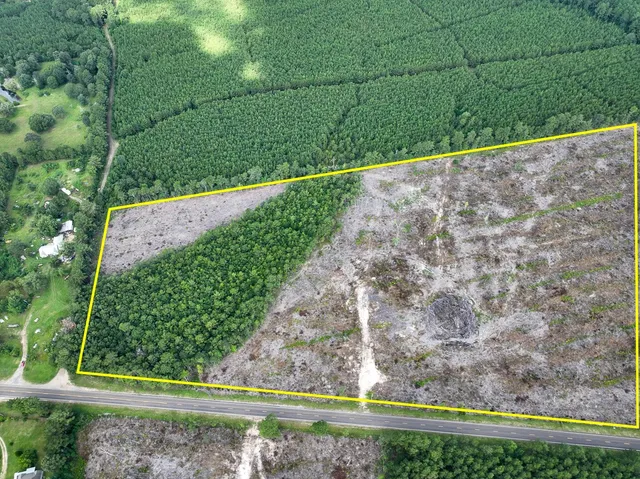 a view of a backyard