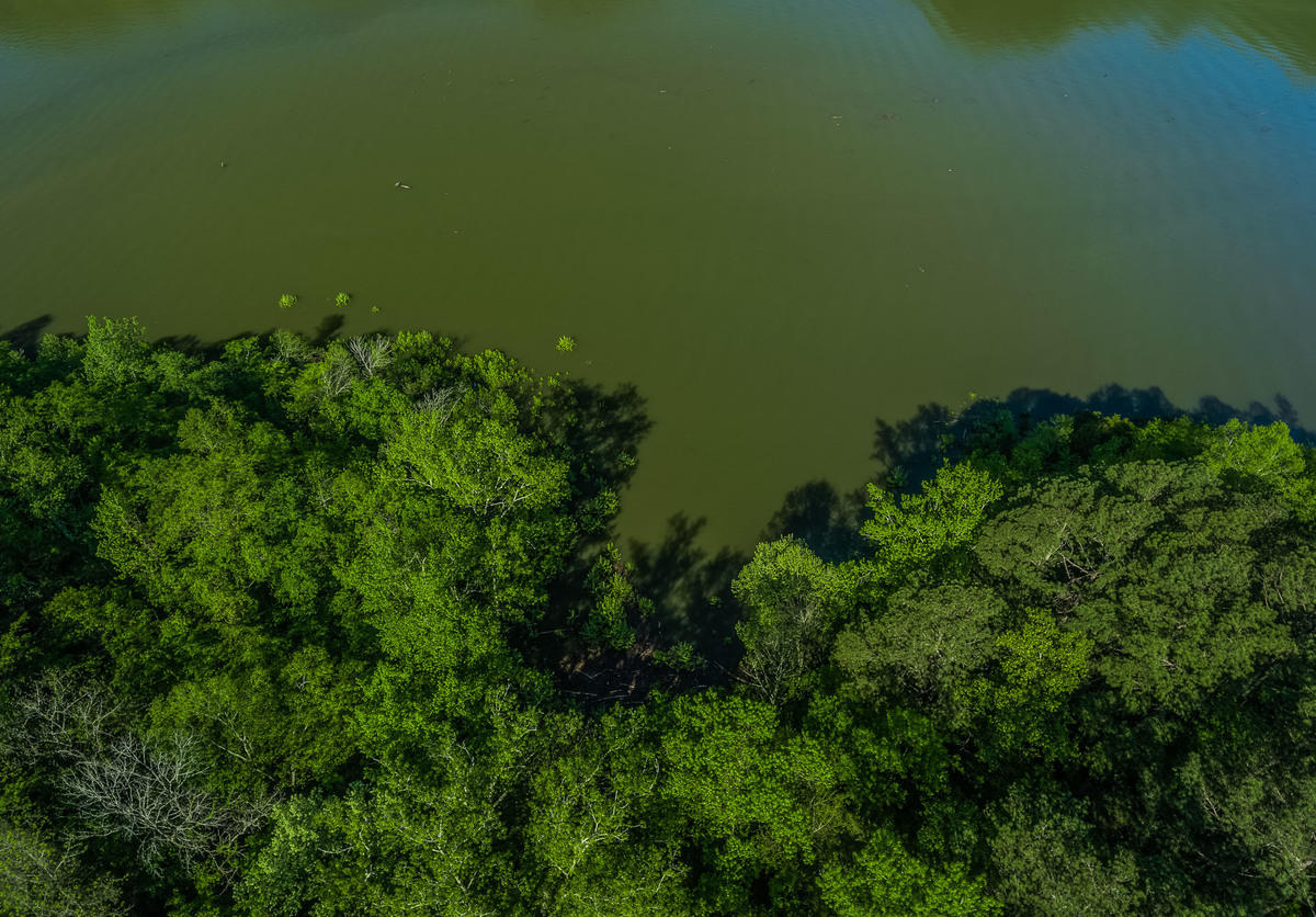 Bridge Pointe Lane Sparta, TN 38583 - Photo 6 of 8 Aerials-31-SMALL