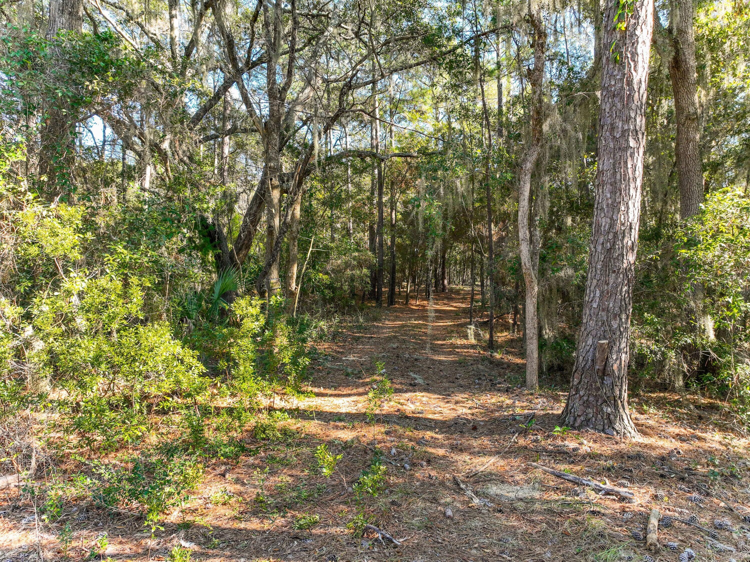 314 Fripp Point Road St. Helena Island, SC 29920 - Photo 15 of 15 dji_fly_20240120_142038_849_170577850732
