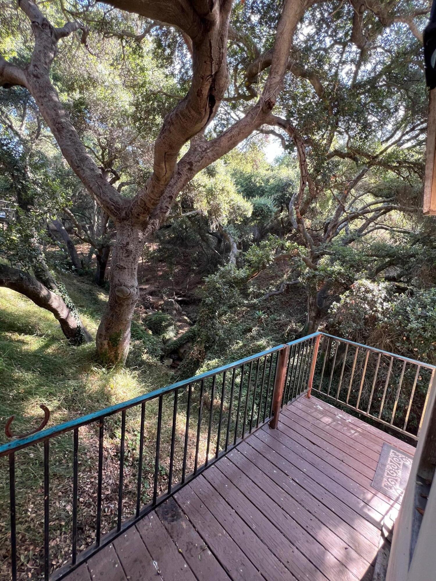 800 Toro Canyon Road Santa Barbara, CA 93108 - Photo 14 of 27 Oak filled vanyon