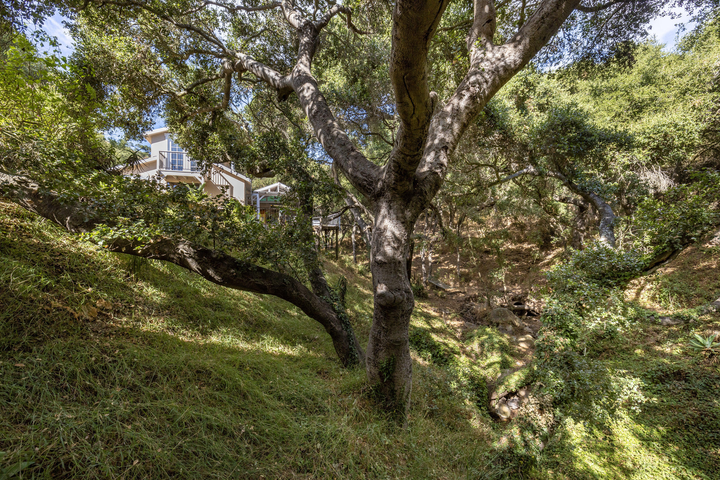 800 Toro Canyon Road Santa Barbara, CA 93108 - Photo 20 of 27 Northern Cabin in the oaks