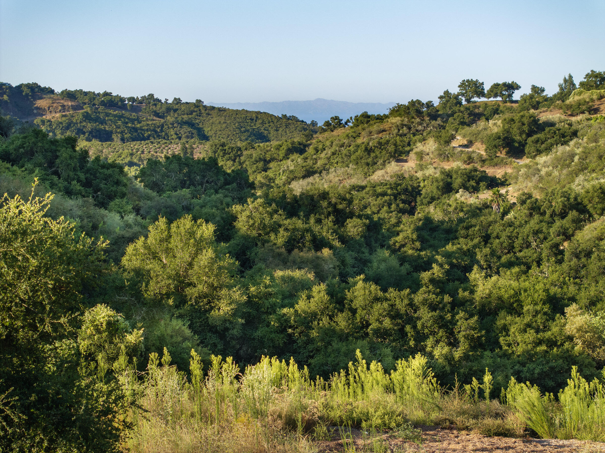 800 Toro Canyon Road Santa Barbara, CA 93108 - Photo 25 of 27 Build Site Southern Ocean View