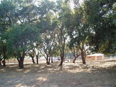 1153 Tico Road Ojai, CA 93023 - Photo 3 of 8 Property from street pasture