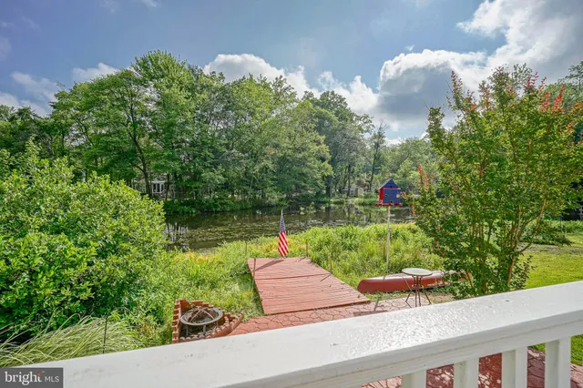 a view of a park with large trees