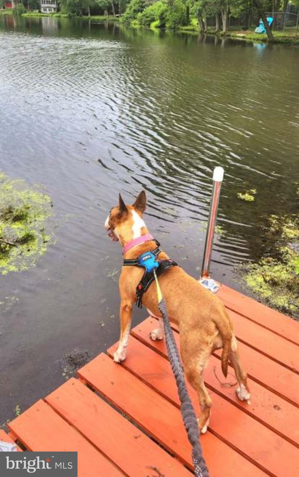 243 Van Horn Avenue Clementon, NJ 08021 - Photo 32 of 41