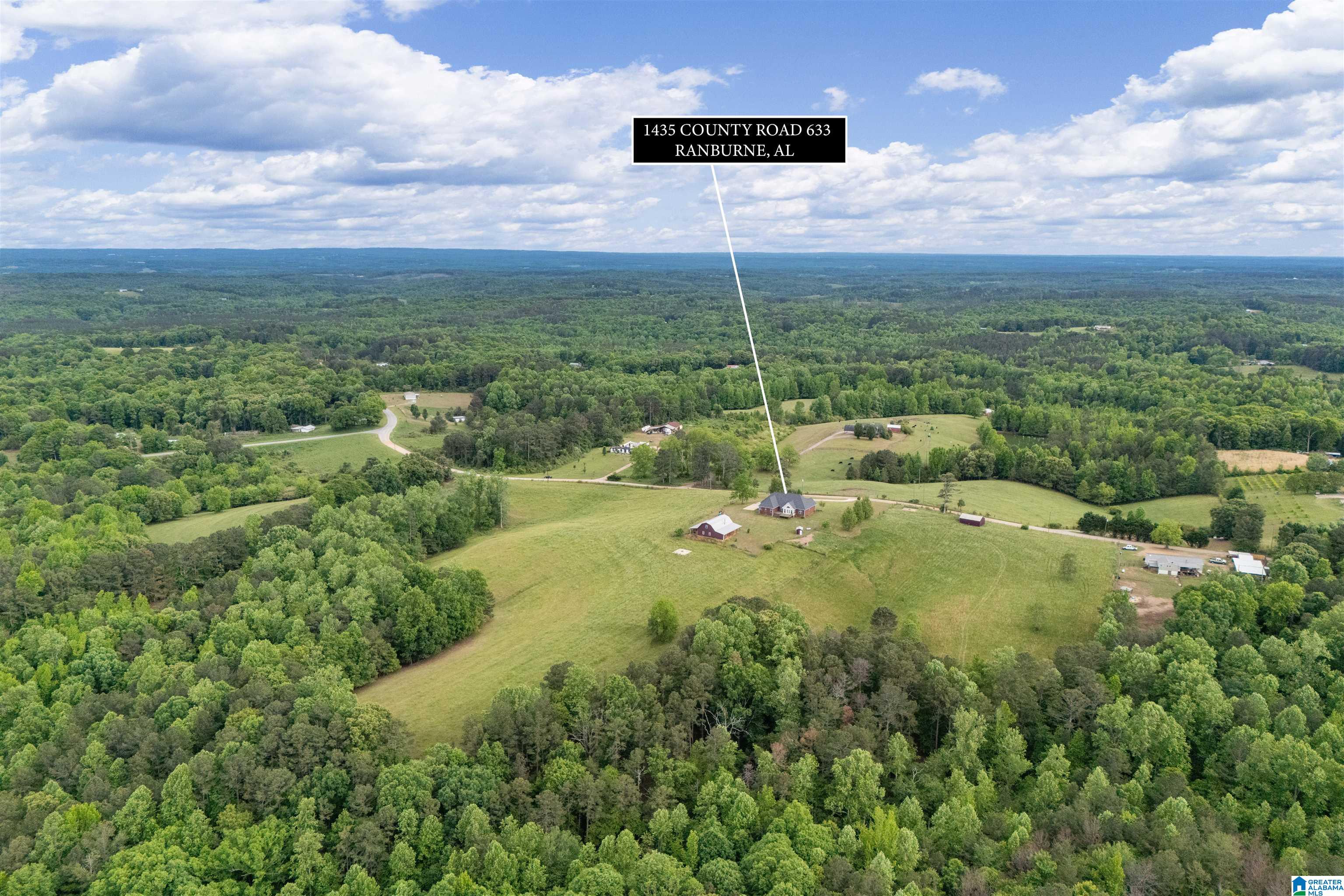 1435 County Road 633 Ranburne, AL 36273 - Photo 65 of 96