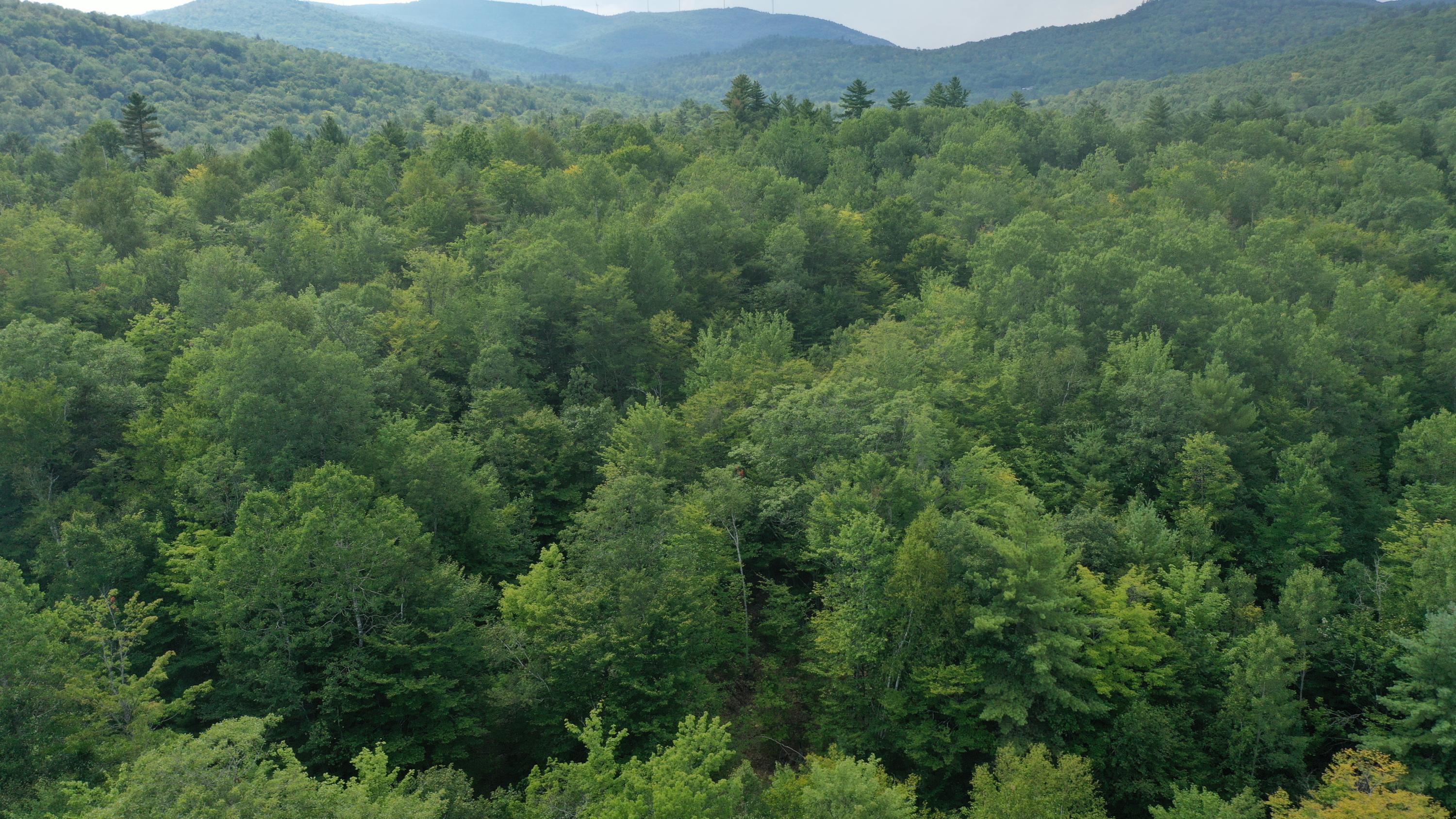 377 B Redding Road Sumner, ME 04292 - Photo 20 of 31 DJI_0872