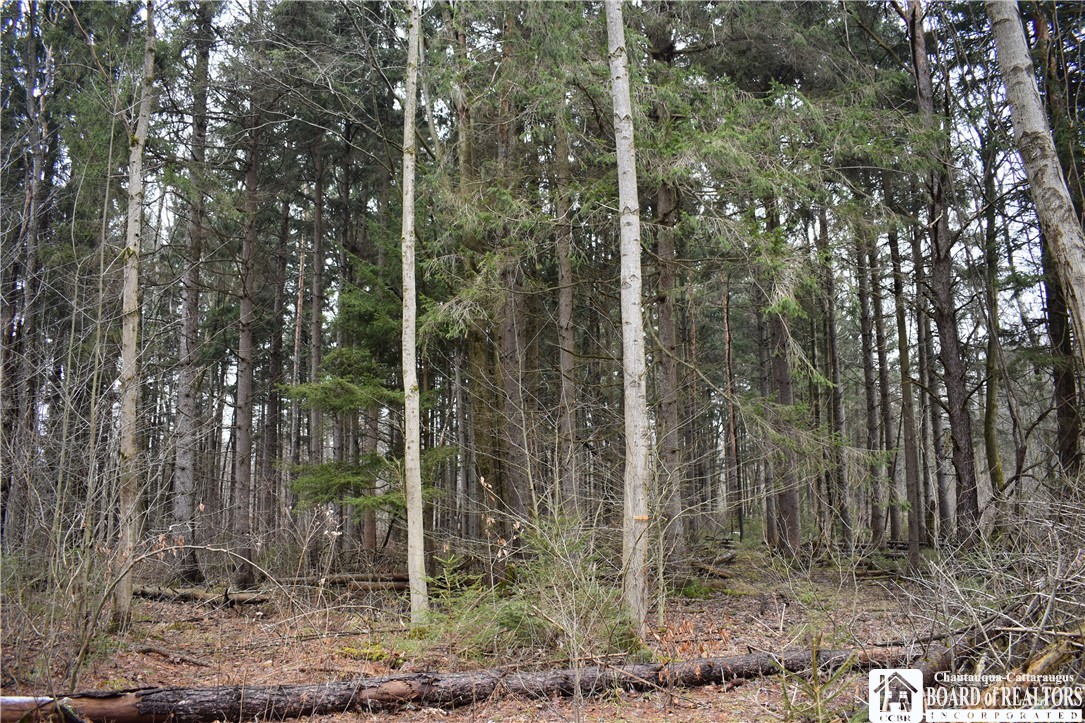 5290 Stockton-Hartfield Road Stockton, NY 14784 - Photo 1 of 1 Gallery Image 1