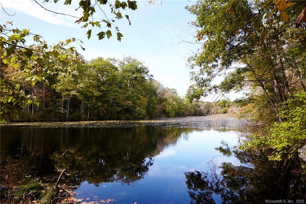 Lot 4 (29.84 acres) as seen from across the pond. The pond is part of Lot 4.