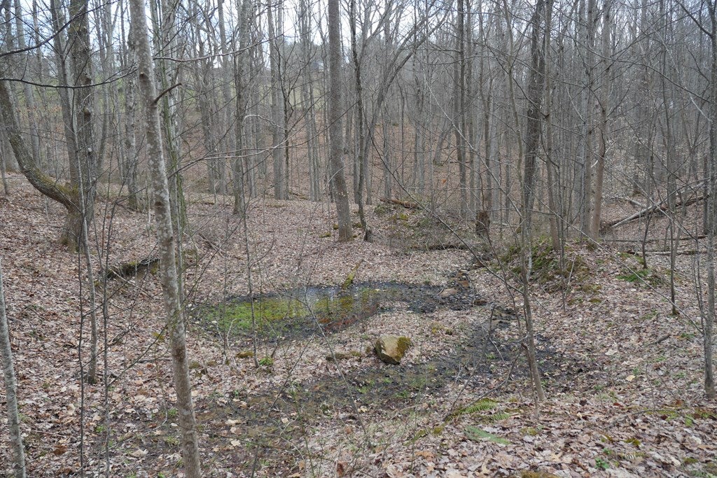 Tbd Reynolds Ridge Road, Unit 1 Bandy, VA 24602 - Photo 8 of 44 Gallery Image 8