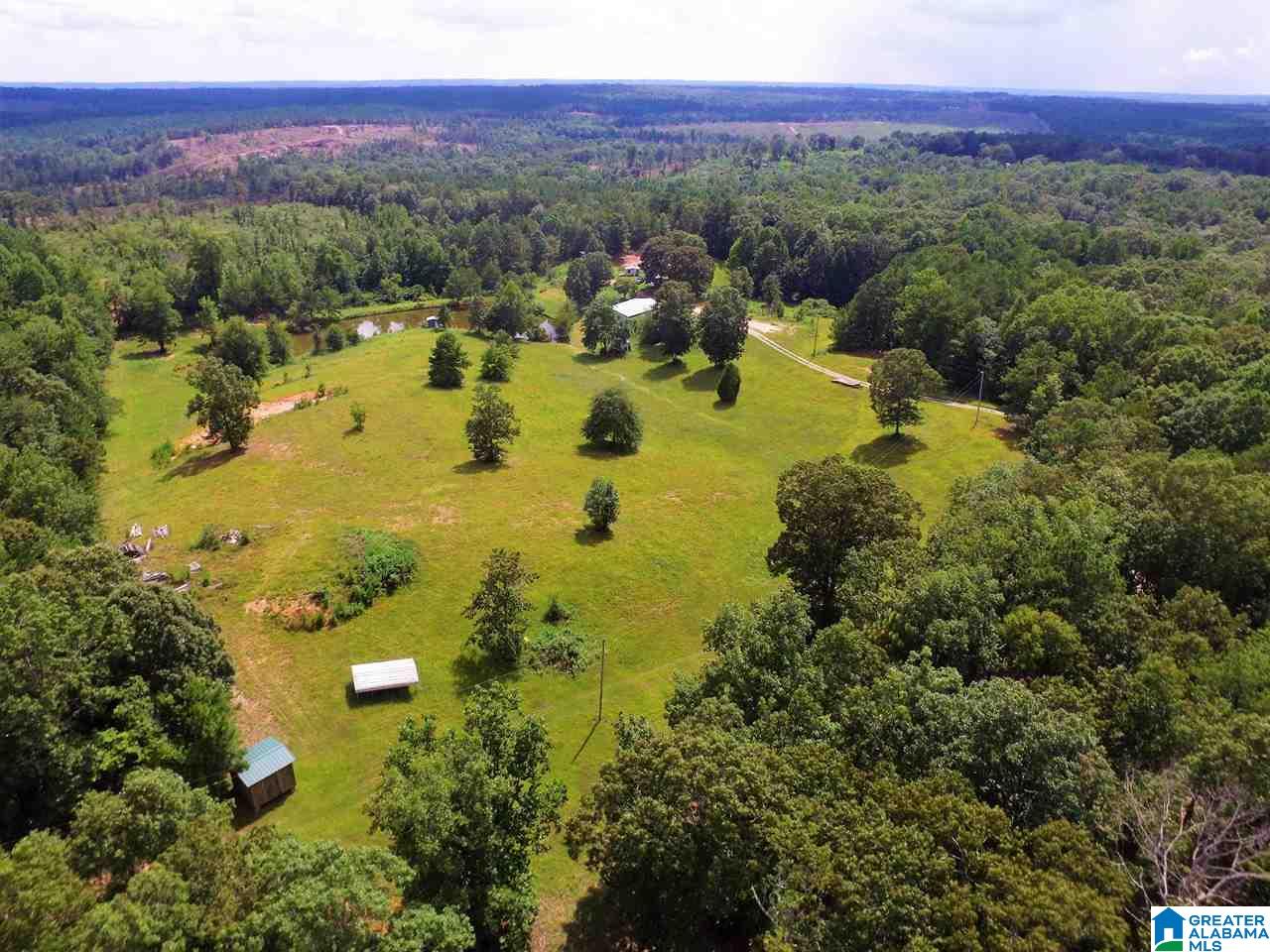 950 County Road 478, Unit 1 Clanton, AL 35046 - Photo 19 of 31