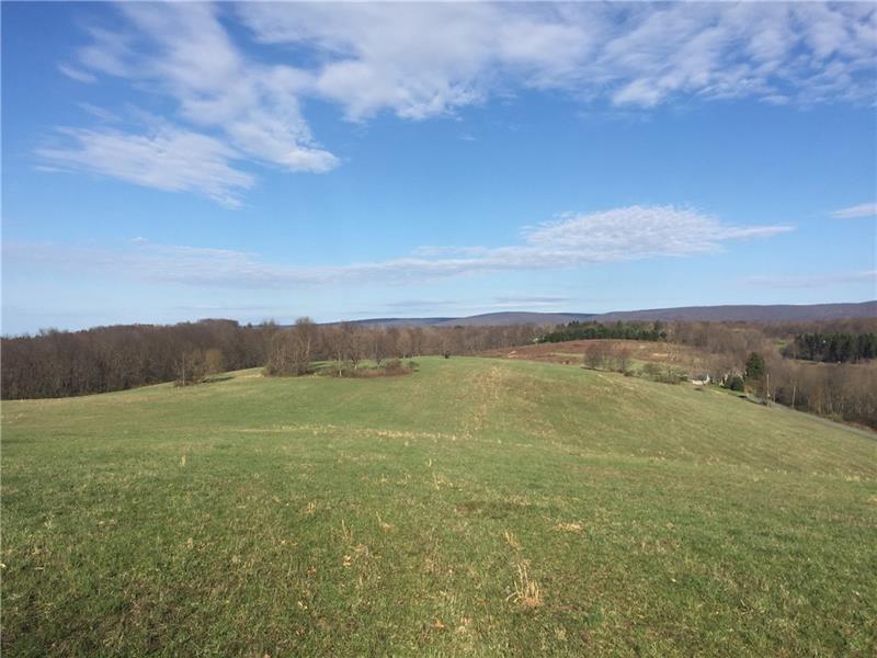 0 Mountain Road Ligonier, PA 15658 - Photo 1 of 6 Gallery Image 1