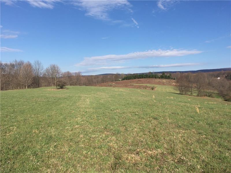 0 Mountain Road Ligonier, PA 15658 - Photo 2 of 6 Gallery Image 2