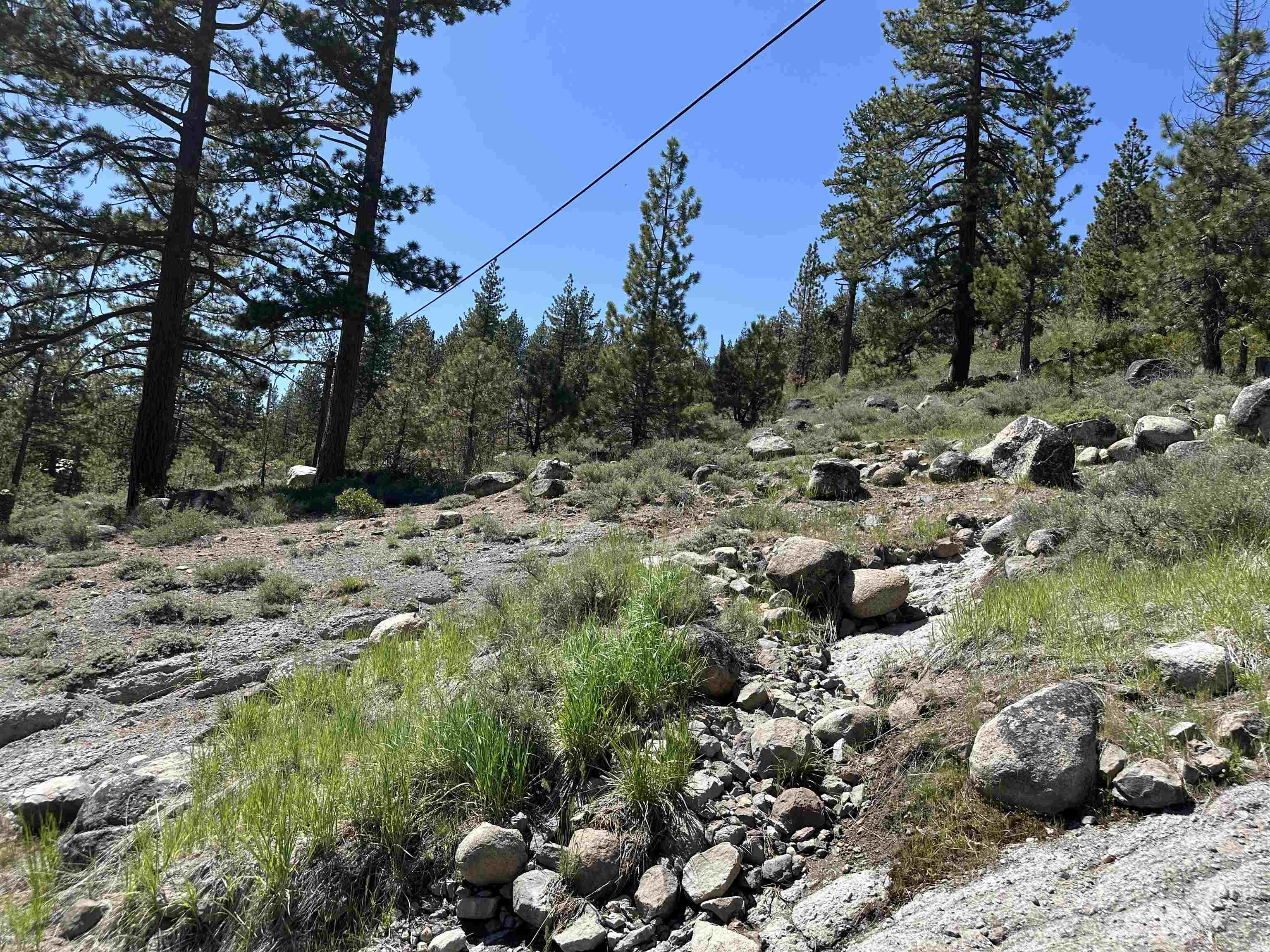 15036 Reed Avenue West Truckee, CA 96161 - Photo 2 of 9 Gallery Image 2