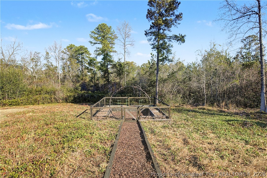 84 Torrington Ridge Cameron, NC 28326 - Photo 48 of 50