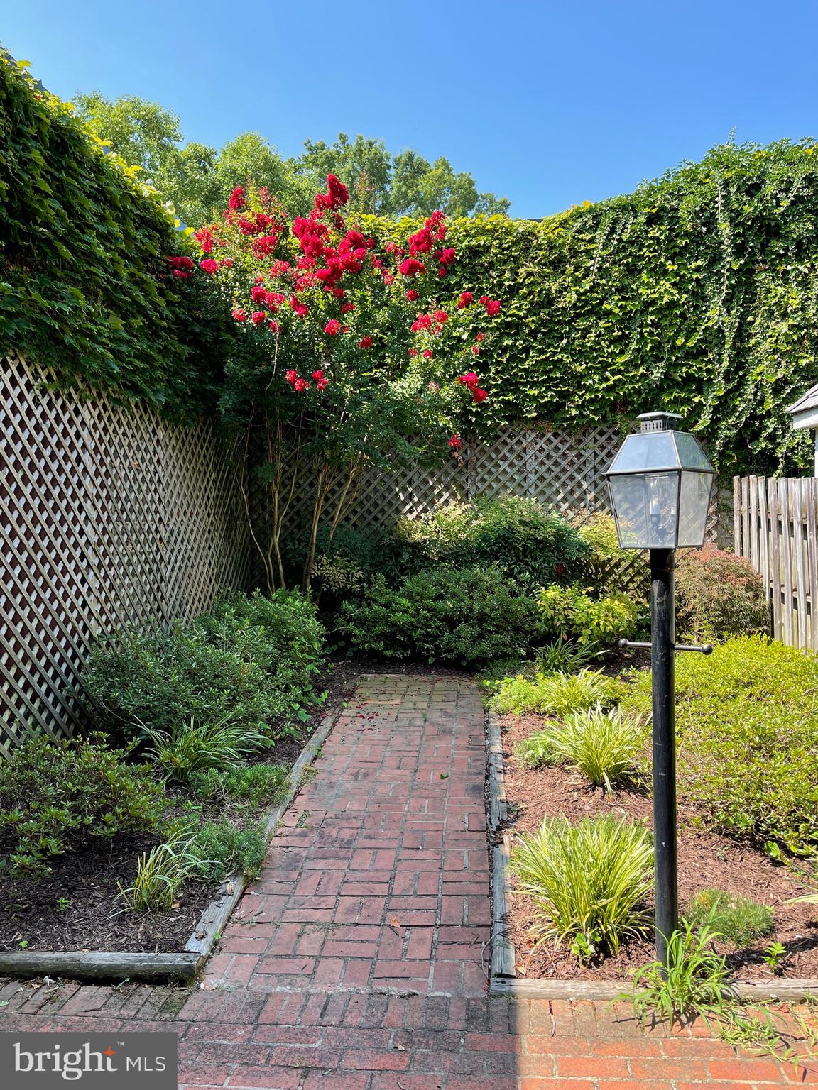 237 Hanover Street Annapolis, MD 21401 - Photo 15 of 33