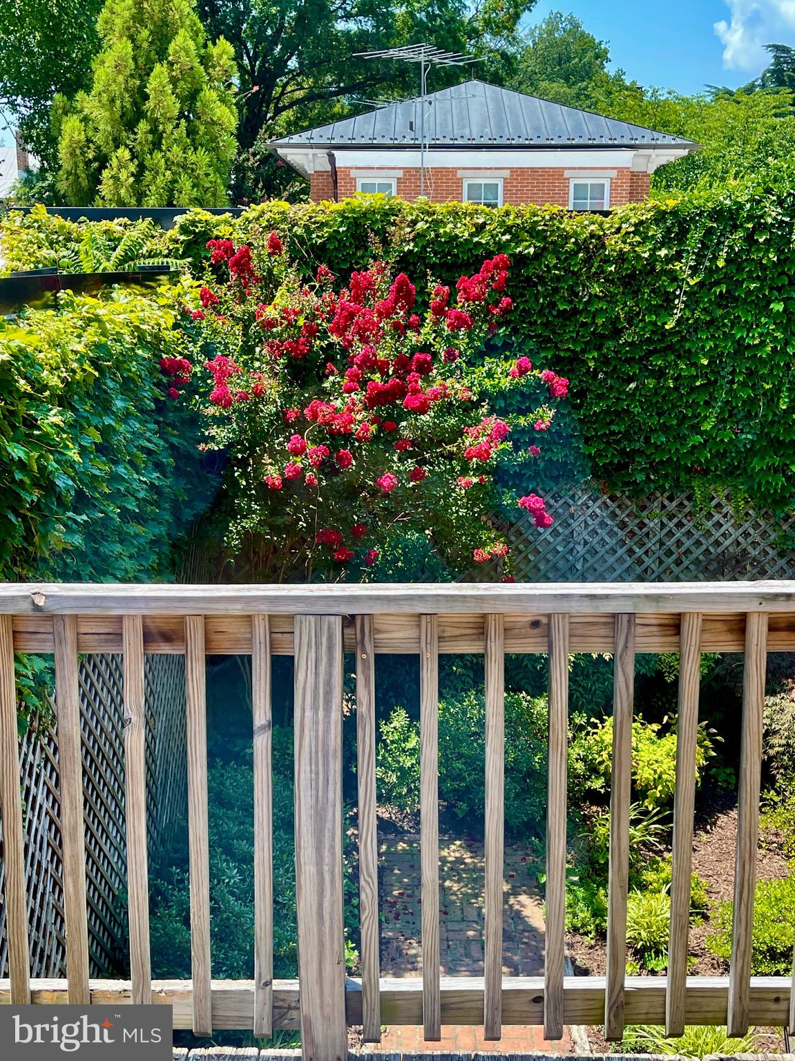 237 Hanover Street Annapolis, MD 21401 - Photo 33 of 33