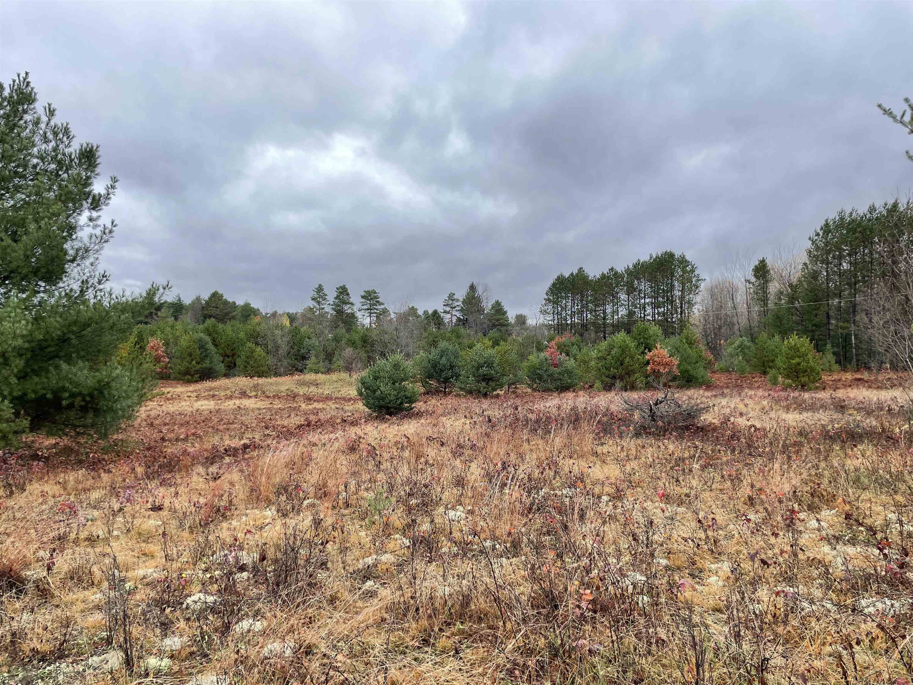 0 35th Road Manton, MI 49663 - Photo 9 of 21 Gallery Image 9