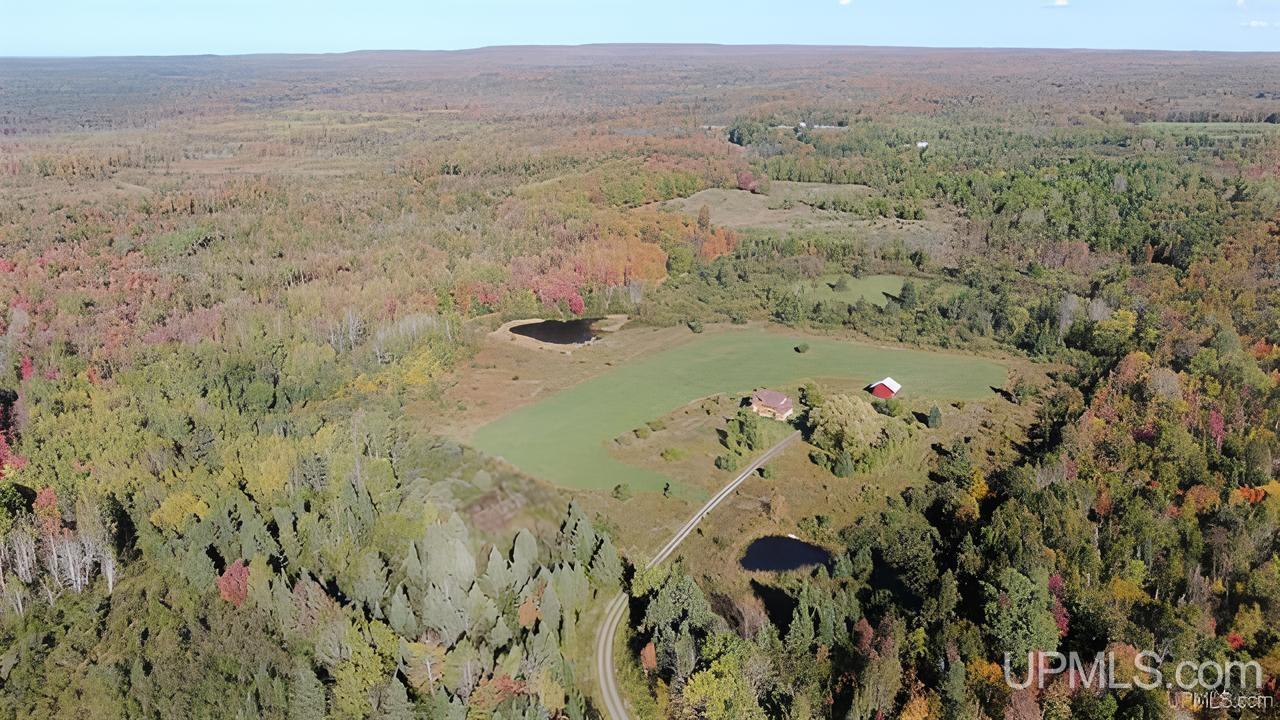 24191 East Aalto Road Covington, MI 49919 - Photo 2 of 81