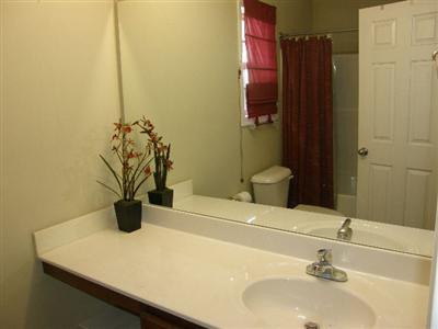 3681 Beaten Path Lexington, KY 40509 - Photo 11 of 15 Master bath with garden tub and extra co