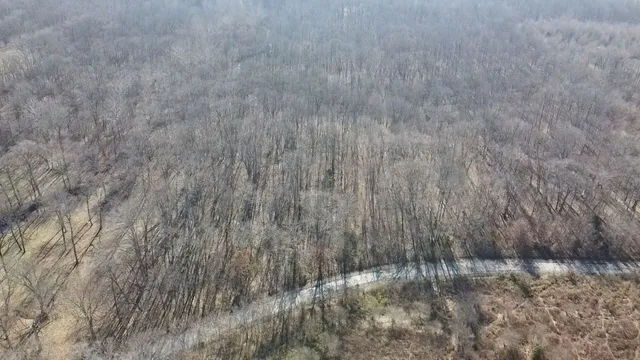 $39,000 | 0 East Mozart Road, Woodlawn, IL 62898