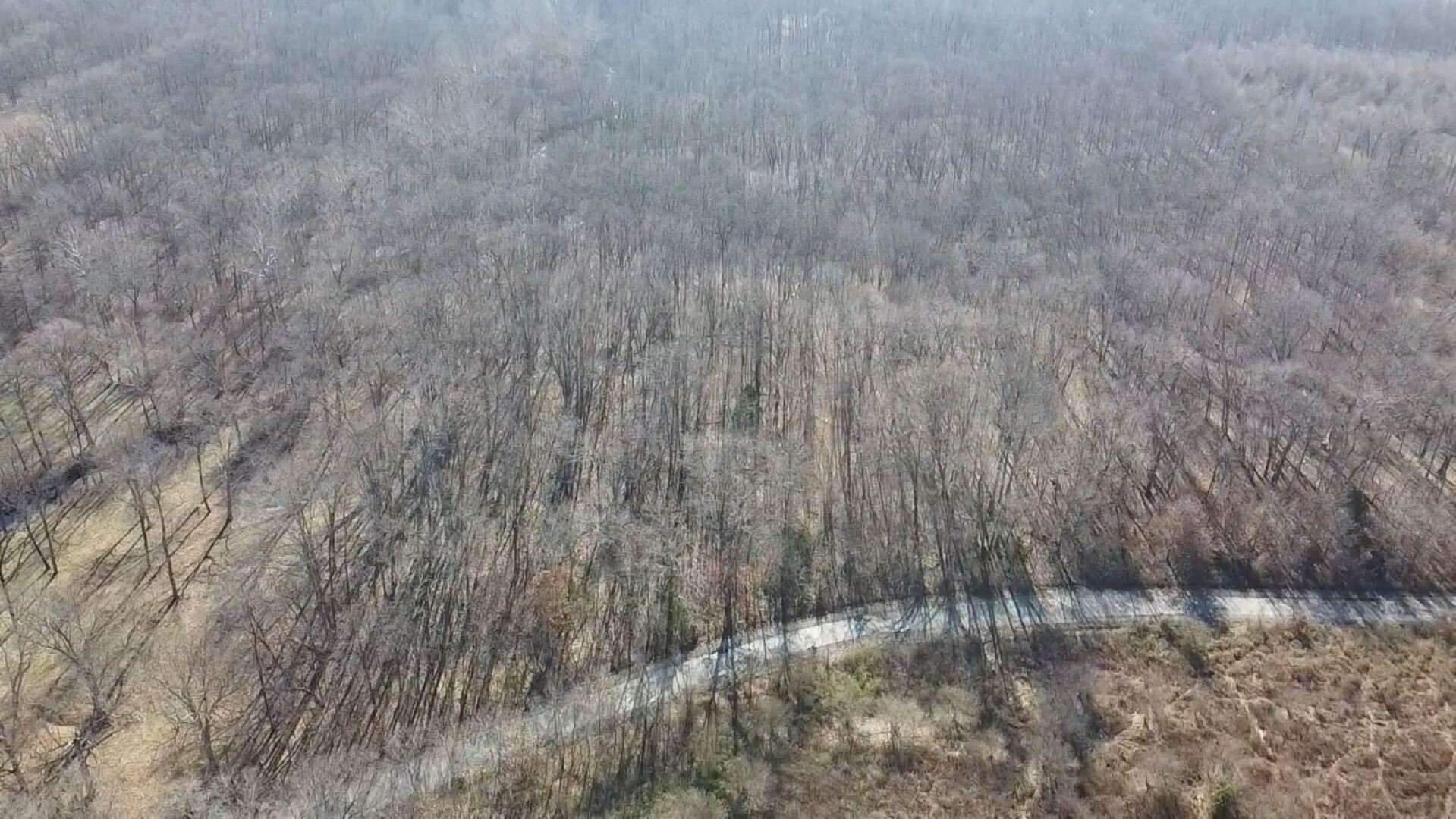 0 East Mozart Road Woodlawn, IL 62898 - Photo 3 of 7