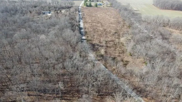 $39,000 | 0 East Mozart Road, Woodlawn, IL 62898