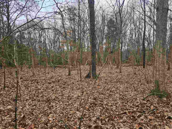 $39,000 | 0 East Mozart Road, Woodlawn, IL 62898