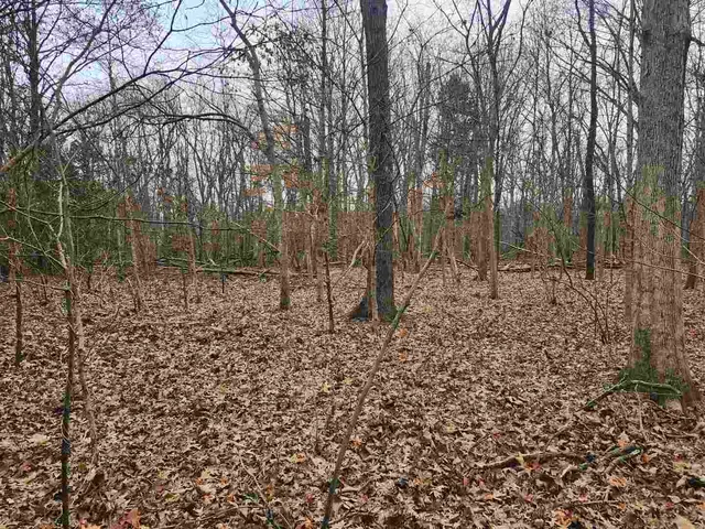 $39,000 | 0 East Mozart Road, Woodlawn, IL 62898