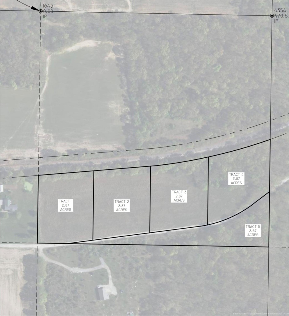 0 East Mozart Road Woodlawn, IL 62898 - Photo 7 of 7