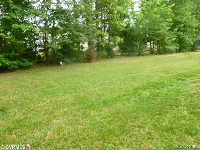 9419 Lockberry Ridge Loop Richmond, VA 23237 - Photo 11 of 11 Yard/Garden