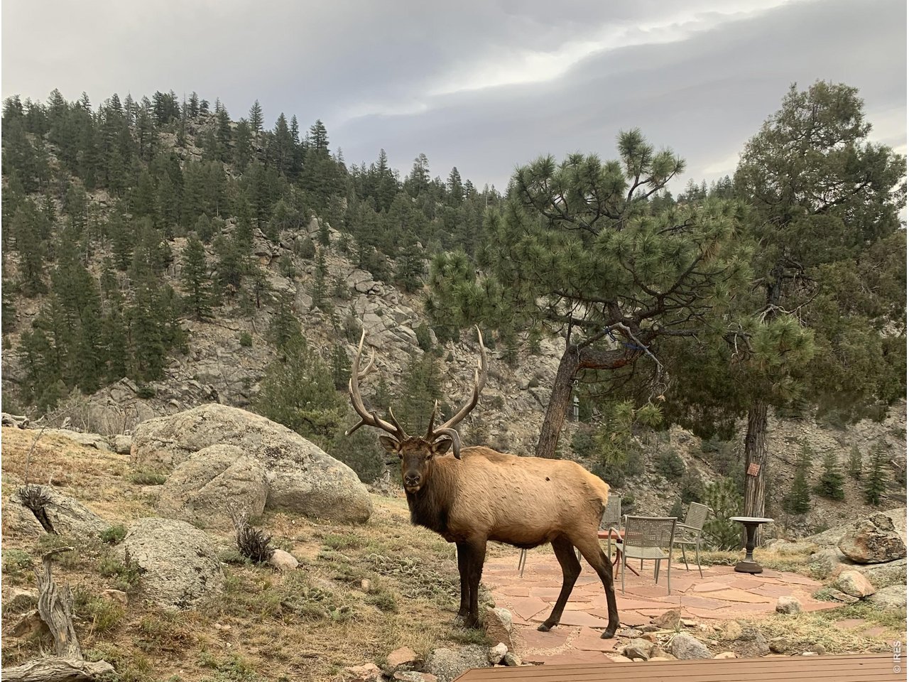 1006 Kneale Road Eldorado Springs, CO 80025 - Photo 2 of 40