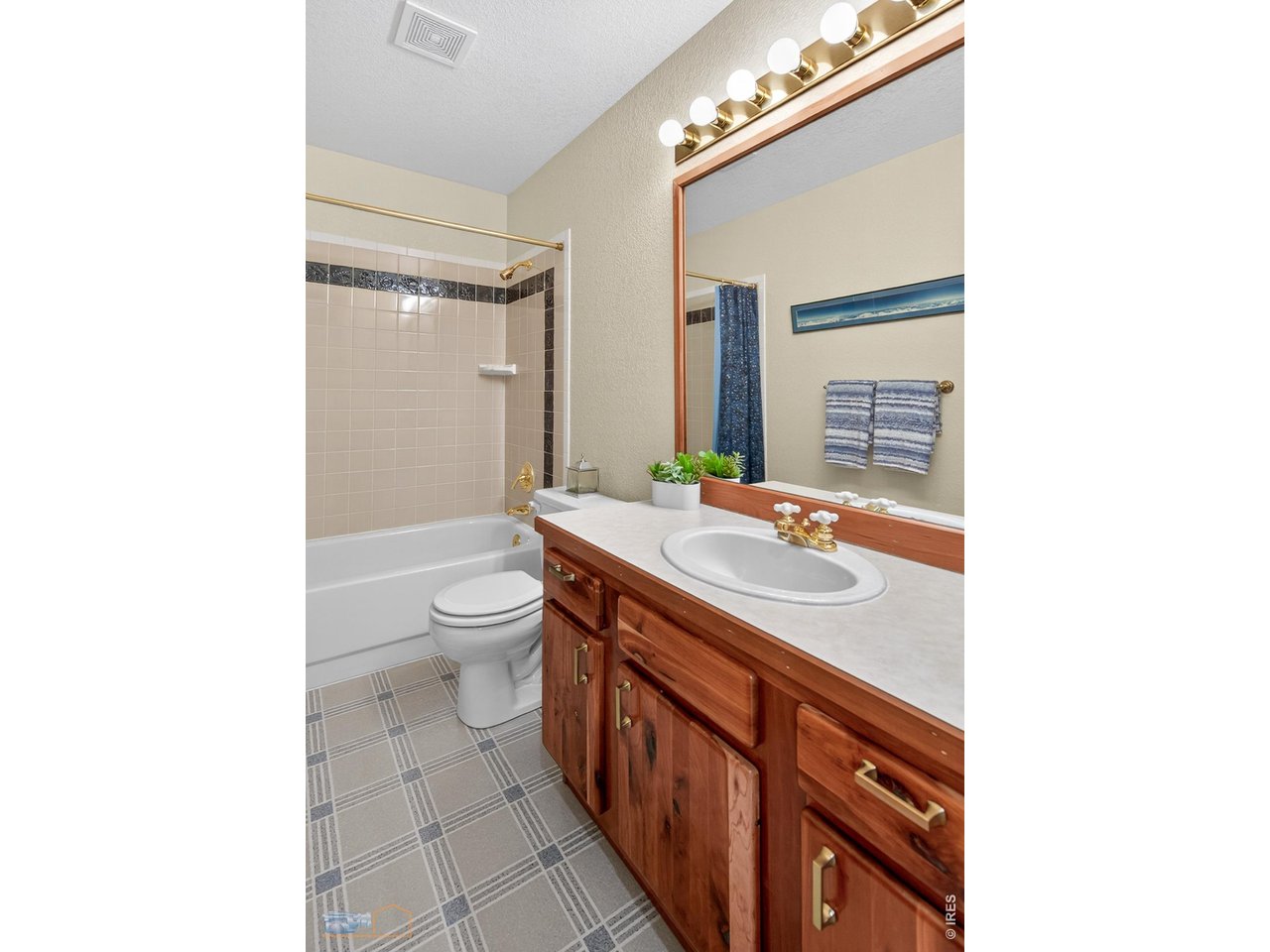 1006 Kneale Road Eldorado Springs, CO 80025 - Photo 25 of 40