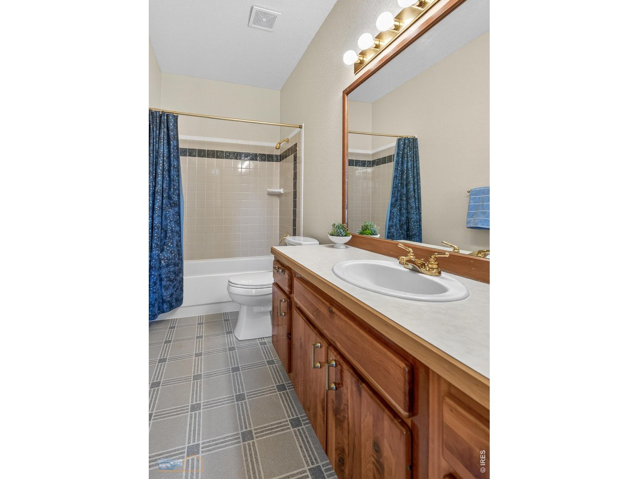 1006 Kneale Road Eldorado Springs, CO 80025 - Photo 29 of 40