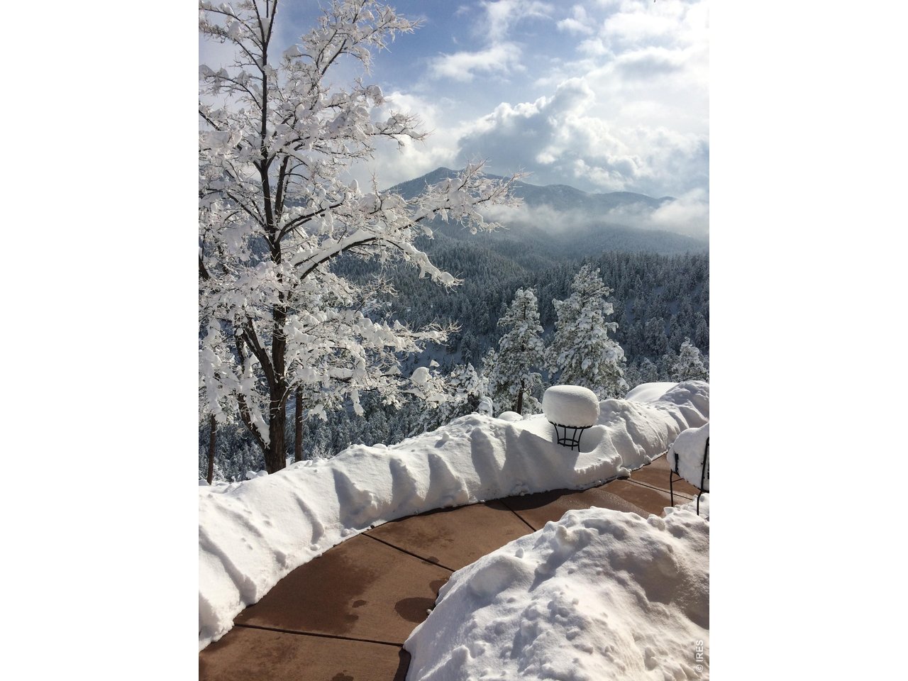 1006 Kneale Road Eldorado Springs, CO 80025 - Photo 37 of 40