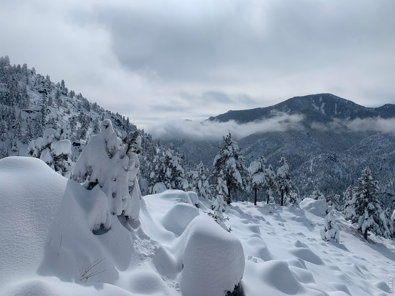 1006 Kneale Road Eldorado Springs, CO 80025 - Photo 39 of 40