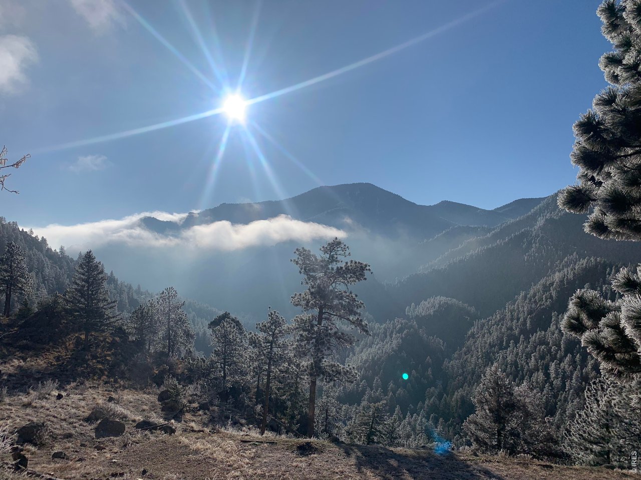 1006 Kneale Road Eldorado Springs, CO 80025 - Photo 40 of 40