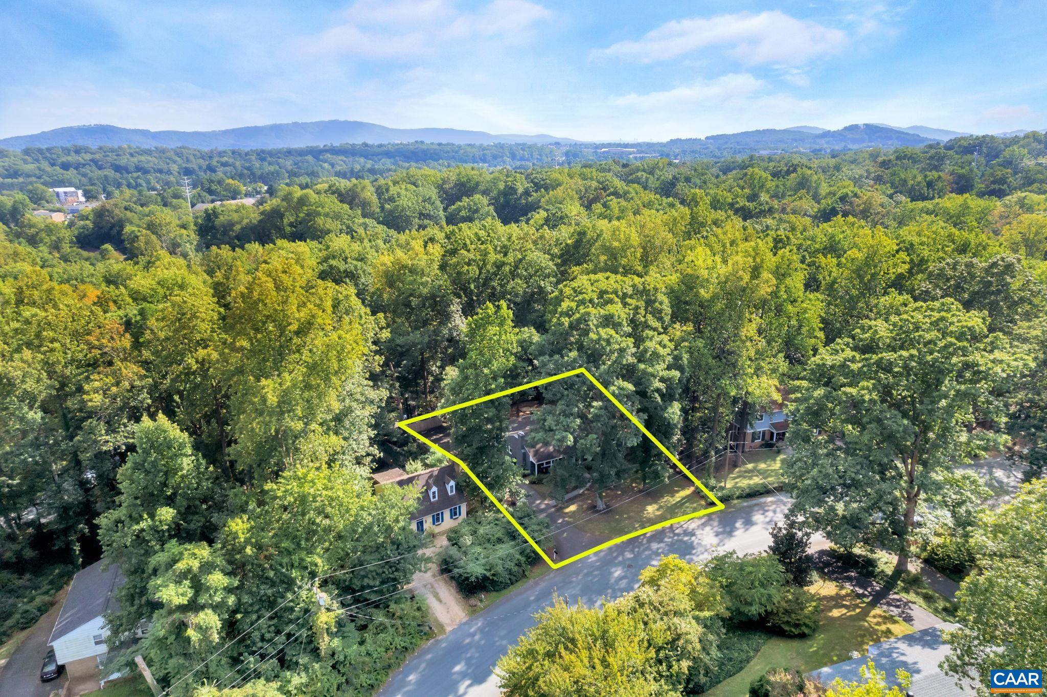 1717 Solomon Road Charlottesville, VA 22901 - Photo 5 of 41 a view of a forest with a mountain