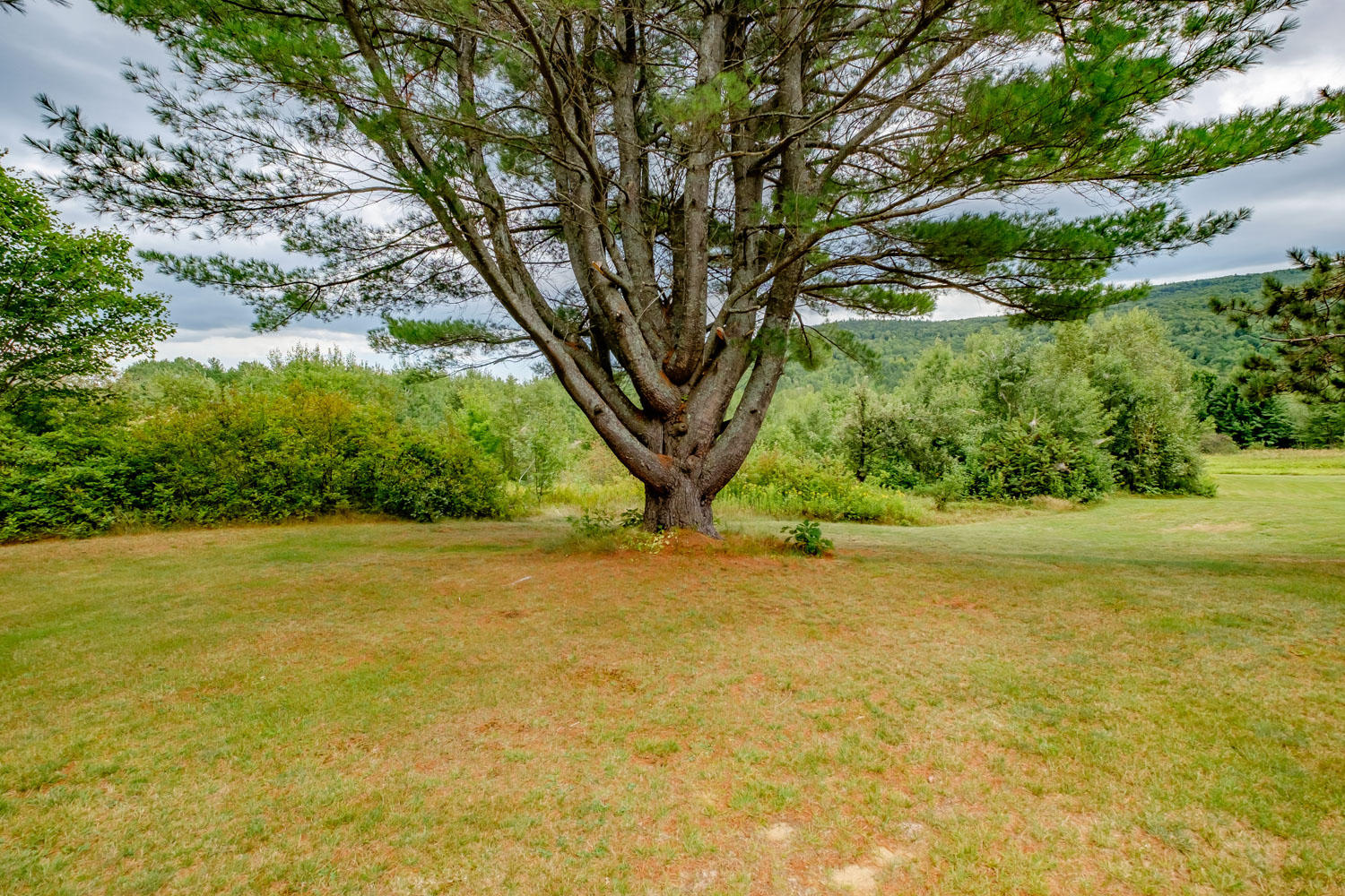 50 Bog Road Gilead, ME 04217 - Photo 67 of 79 20190830gp-61068